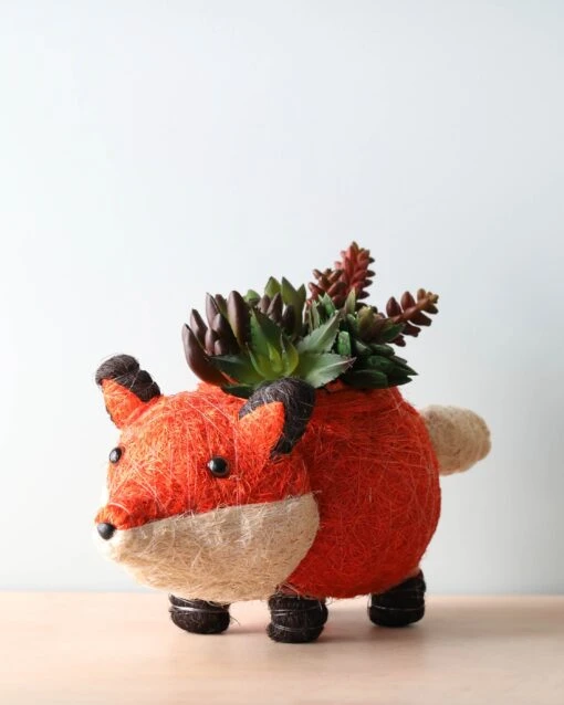 Animal Planter - Fox -Best Toys Store 2J2A4541 scaled